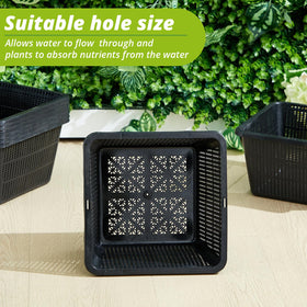 RimCereal mesh drainage baskets balance moisture for healthy root growth.