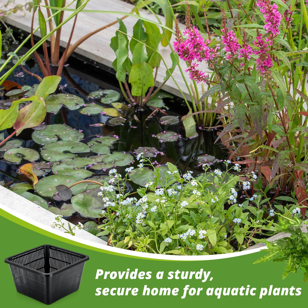 RimCereal water garden scene with baskets and gravel for a polished display.