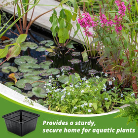 RimCereal water garden scene with baskets and gravel for a polished display.