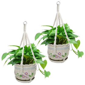 Rimoev macrame plant hanger 20-inch white displays plant with natural charm