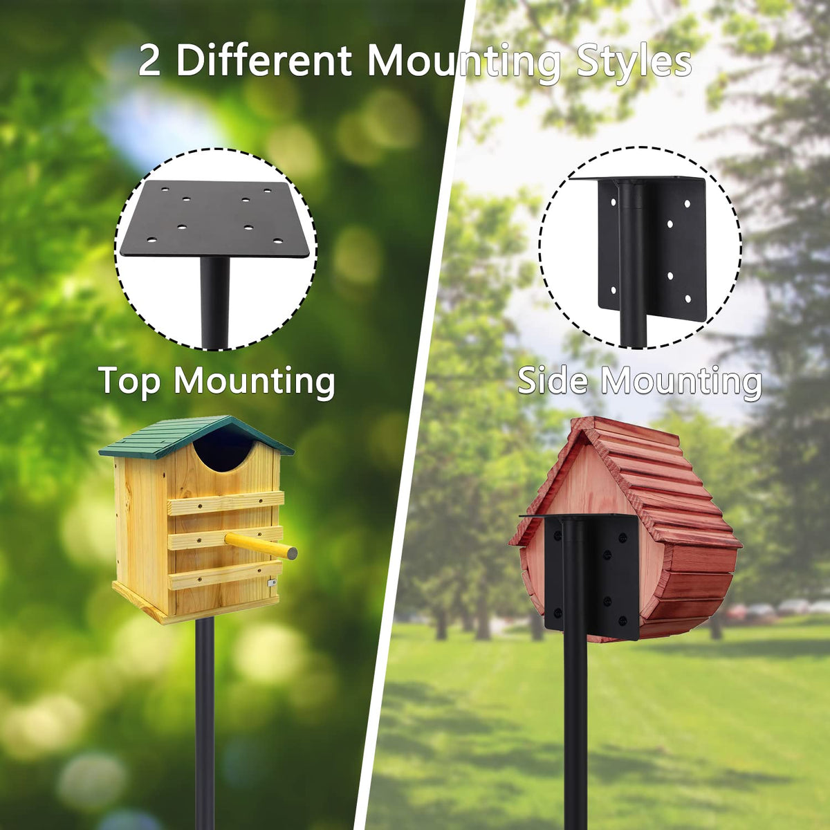 RINLAIN stand offers top or side mounting for versatile use.