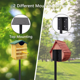 RINLAIN stand offers top or side mounting for versatile use.