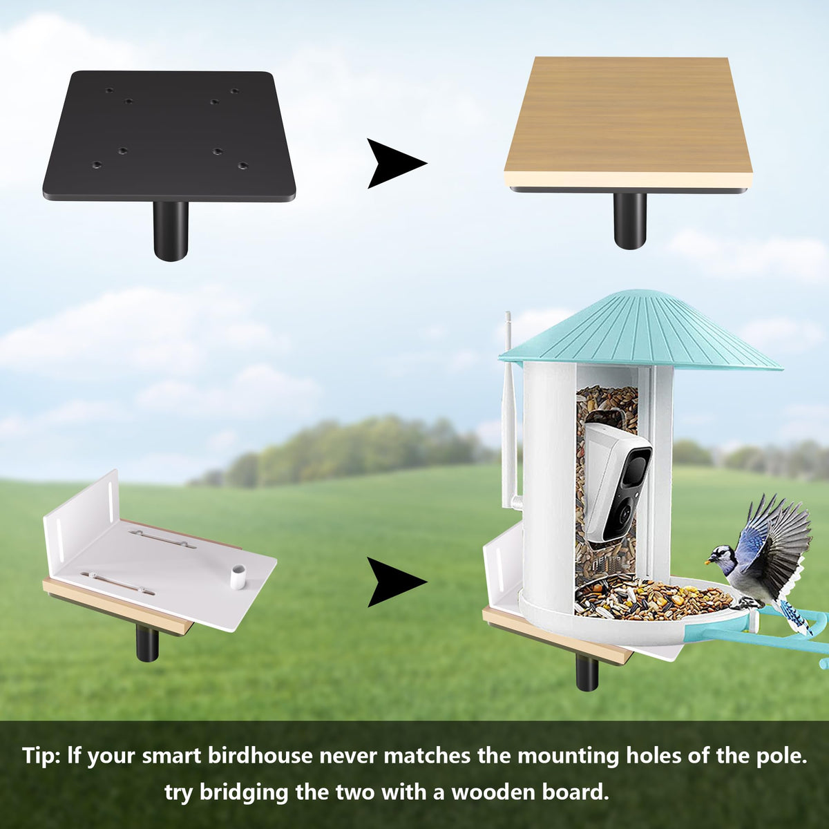 RINLAIN top or side mounting platform offers flexible feeder positioning for easy access.