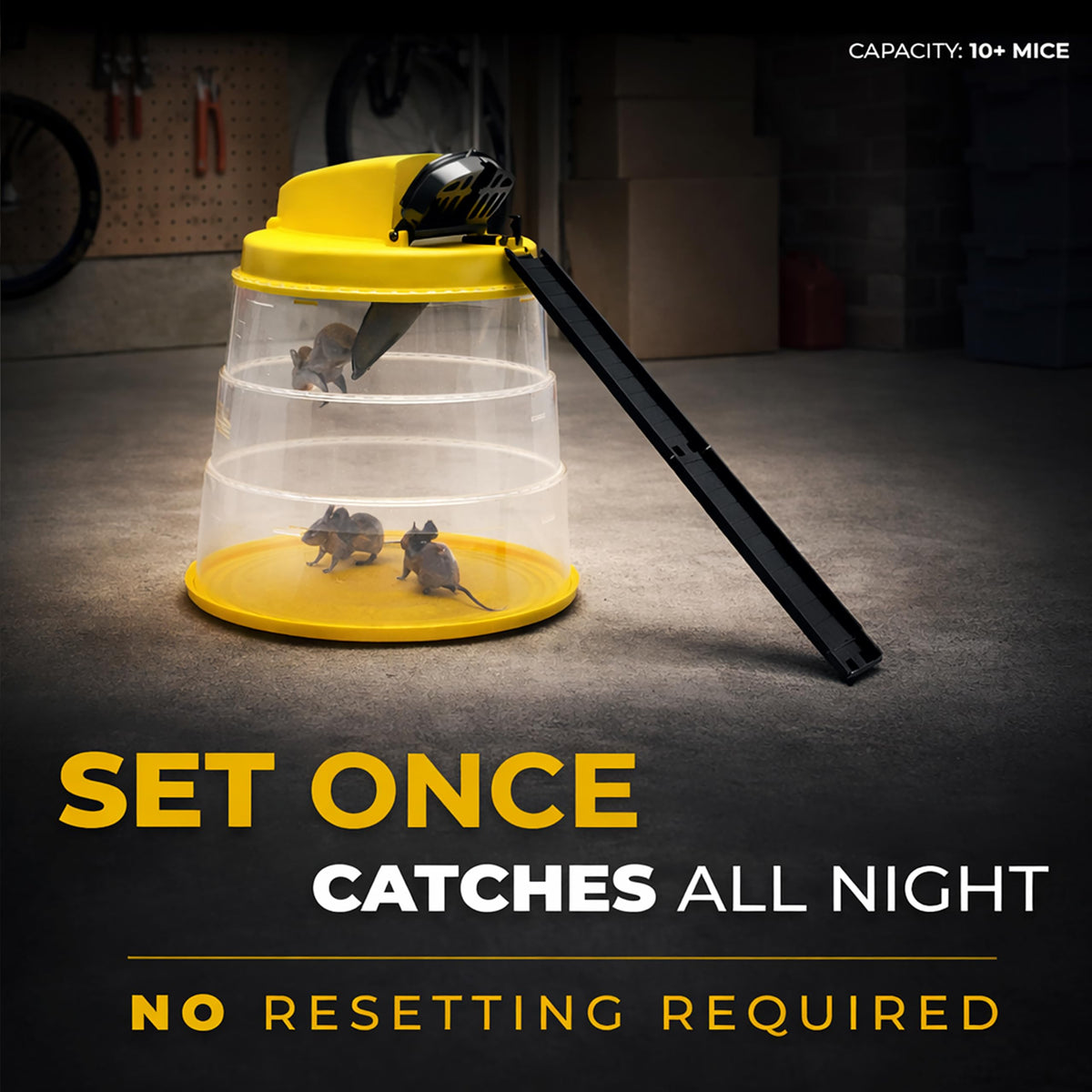 RinneTraps Flip N Slide self-resetting design after each catch for continuous trapping.