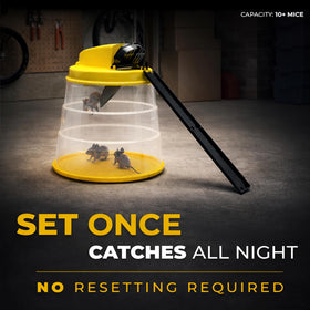 RinneTraps Flip N Slide self-resetting design after each catch for continuous trapping.
