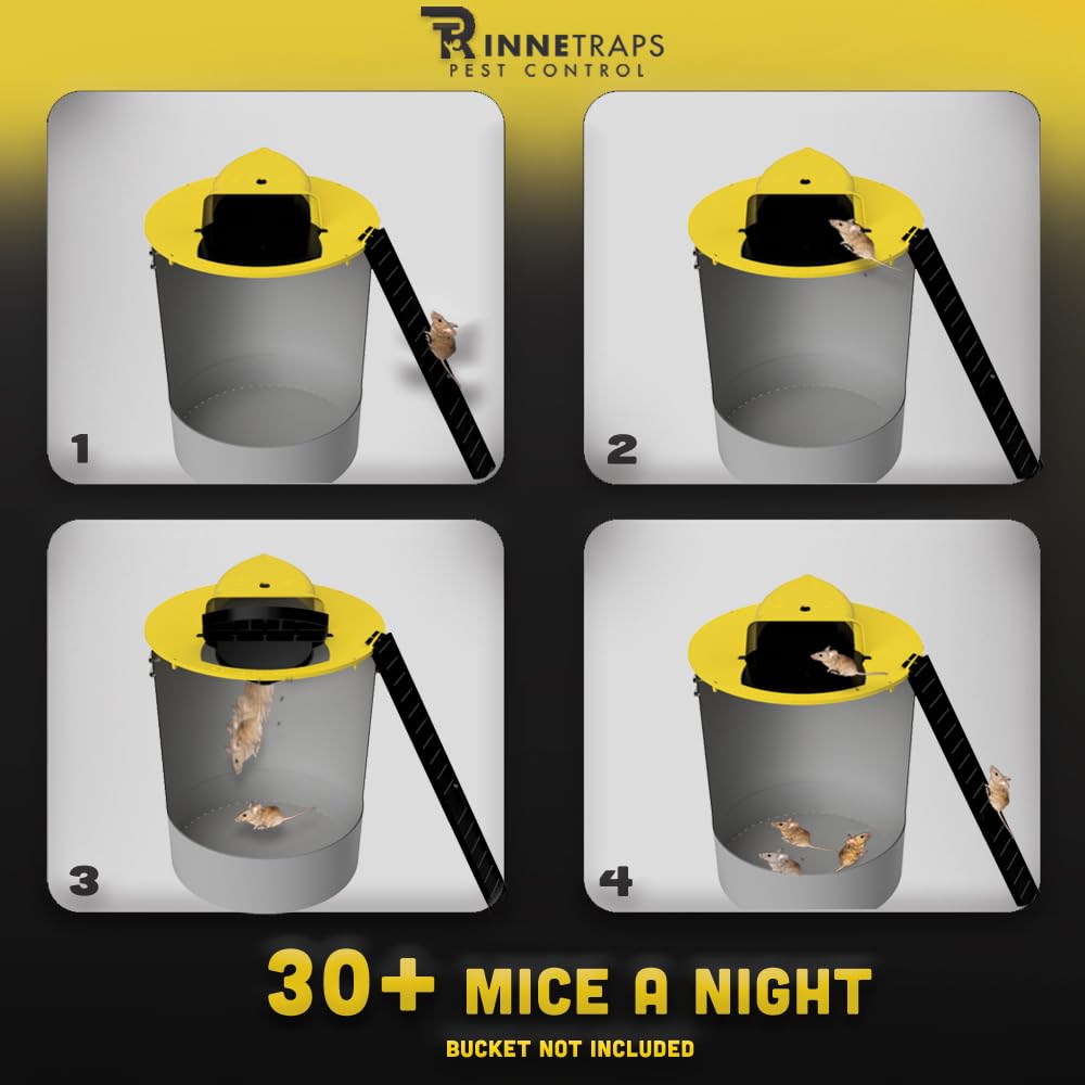 RinneTraps original design showcasing auto reset for hands-off reuse.