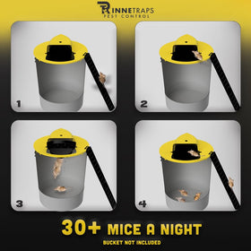 RinneTraps original design showcasing auto reset for hands-off reuse.