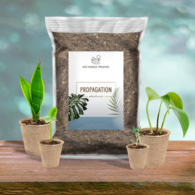 Rio Hamza Trading hand-blended mix closeup shows airy texture ideal for delicate roots.