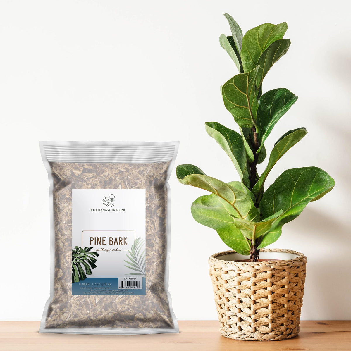 Rio Hamza Trading indoor container garden decor with natural mulch.