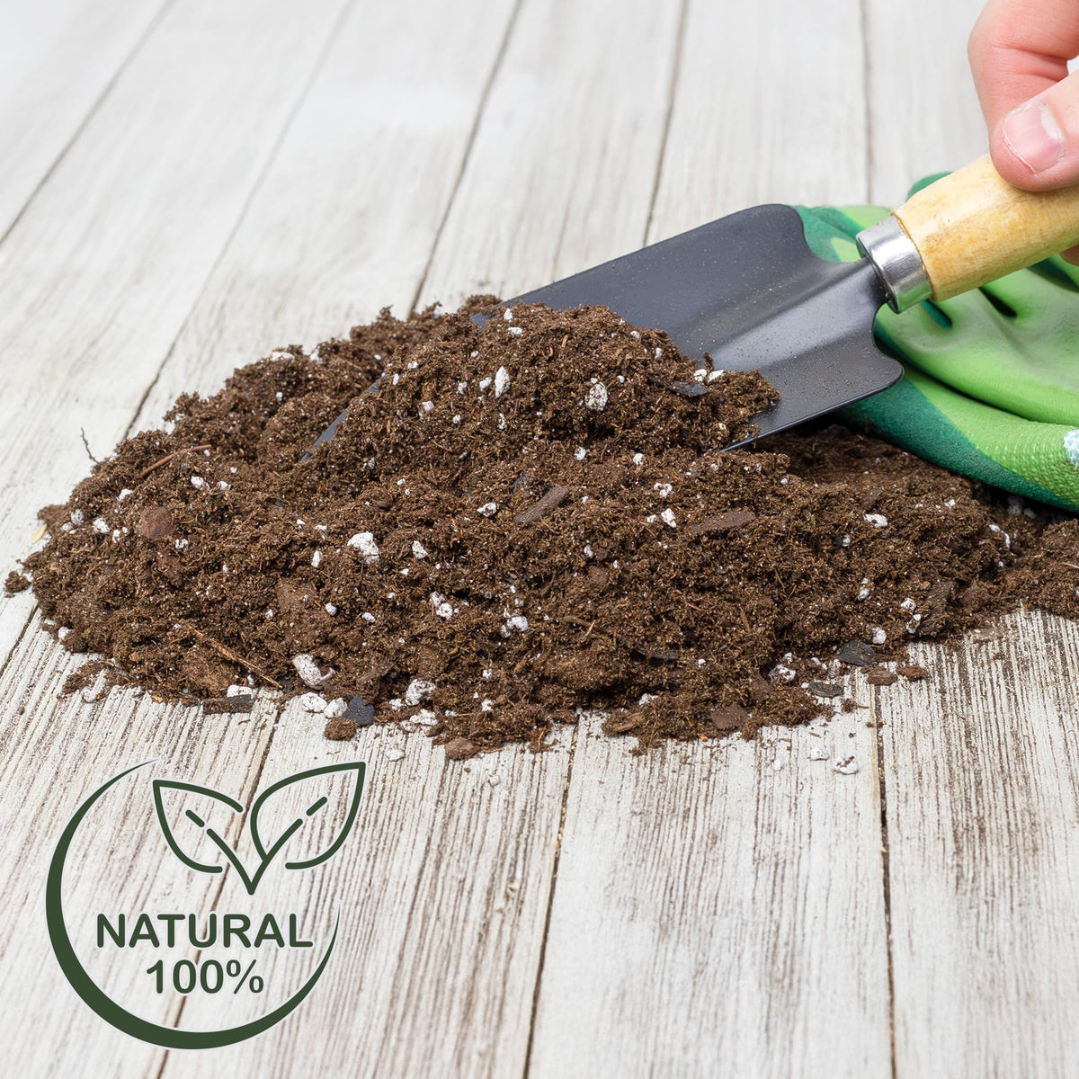 Four-quart bag from Rio Hamza Trading suitable for 1–2 trees.