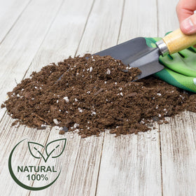 Four-quart bag from Rio Hamza Trading suitable for 1–2 trees.