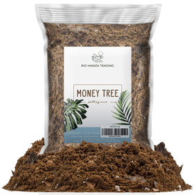 Rio Hamza Trading Money Tree Soil bag 1 gallon ready for repotting.