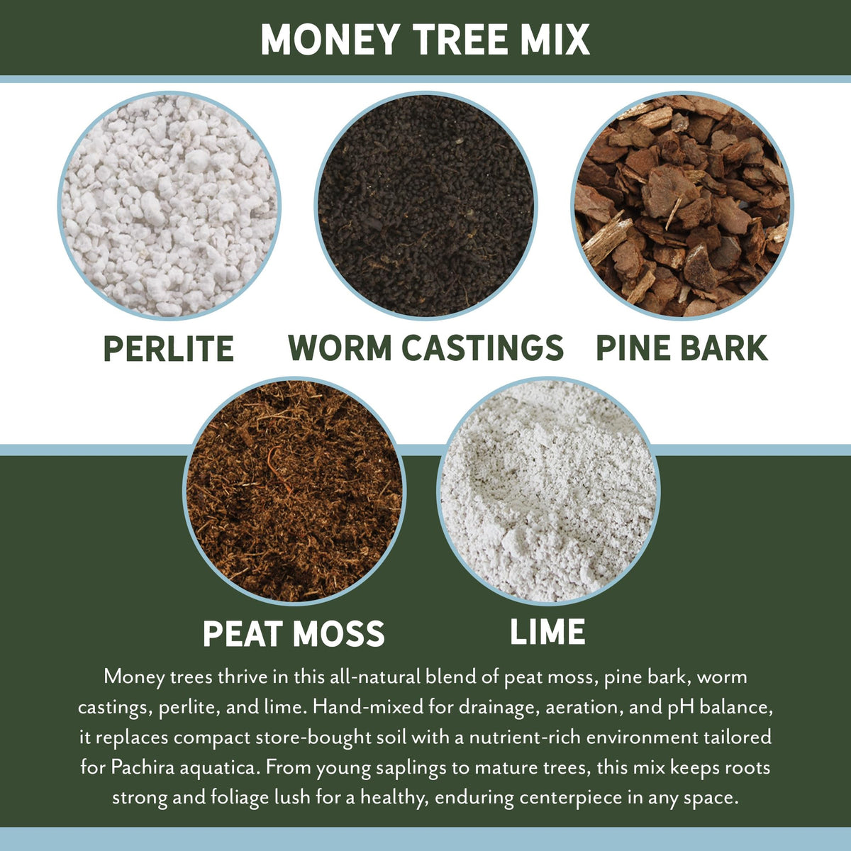 Contains peat, bark nuggets and worm castings in Rio Hamza Trading soil mix.