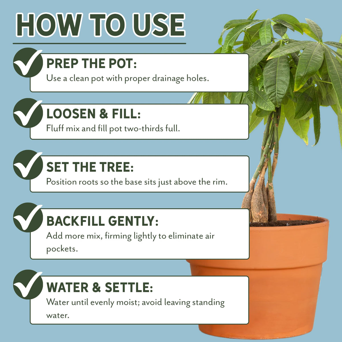 Perlite in Rio Hamza Trading Money Tree Soil improves drainage.