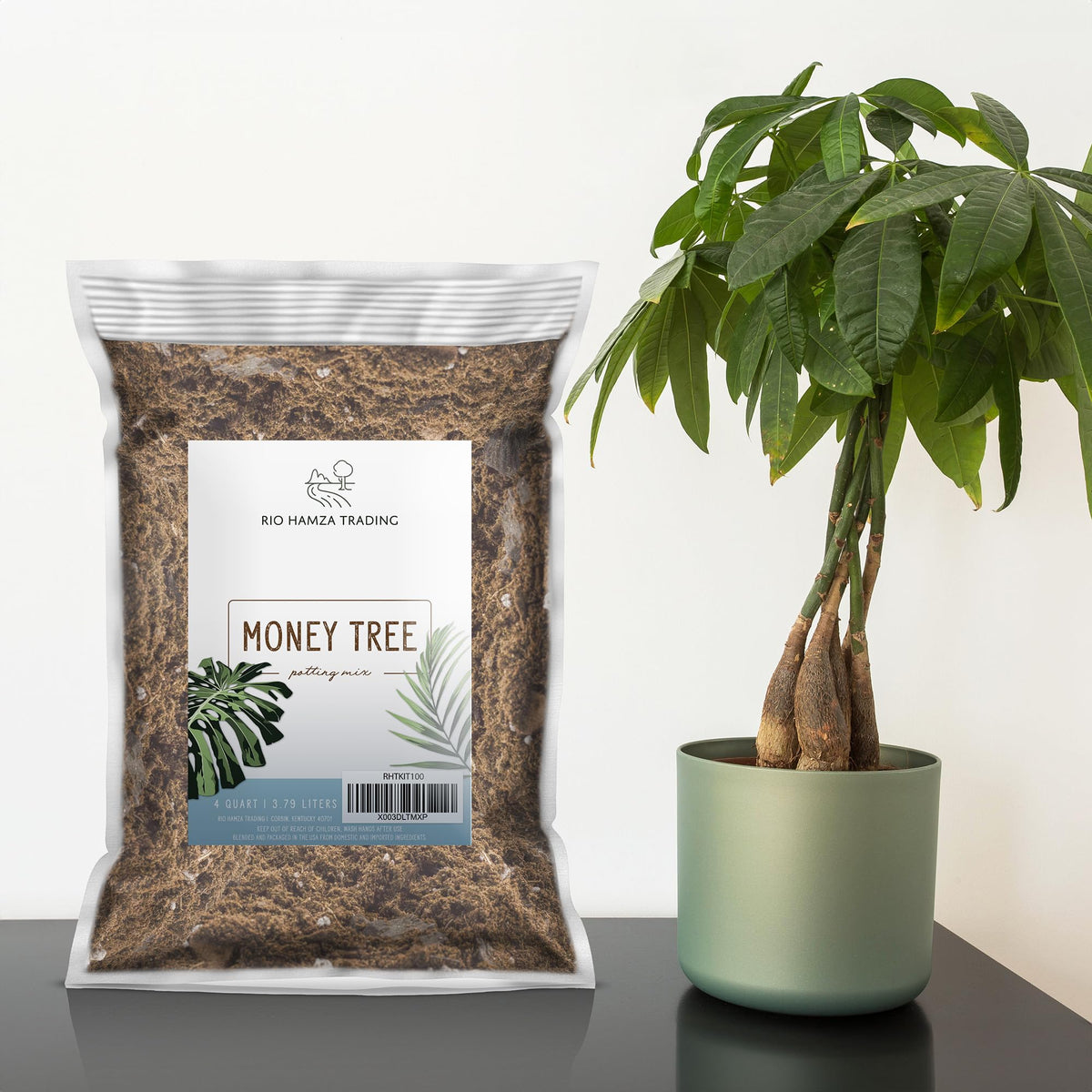 Close-up of Rio Hamza Trading Money Tree Soil texture showing nutrients.