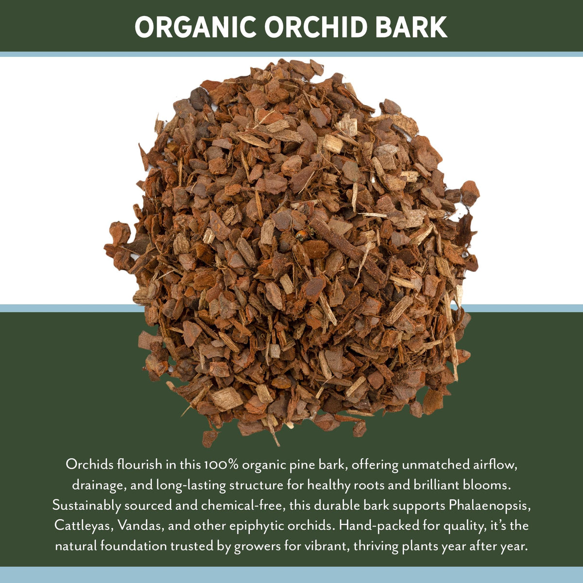 Rio Hamza Trading orchid bark in Cattleya potting promotes drainage.