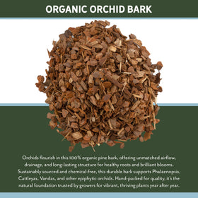 Rio Hamza Trading orchid bark in Cattleya potting promotes drainage.