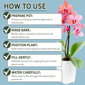 Rio Hamza Trading orchid bark eco-sourced material supports sustainability.