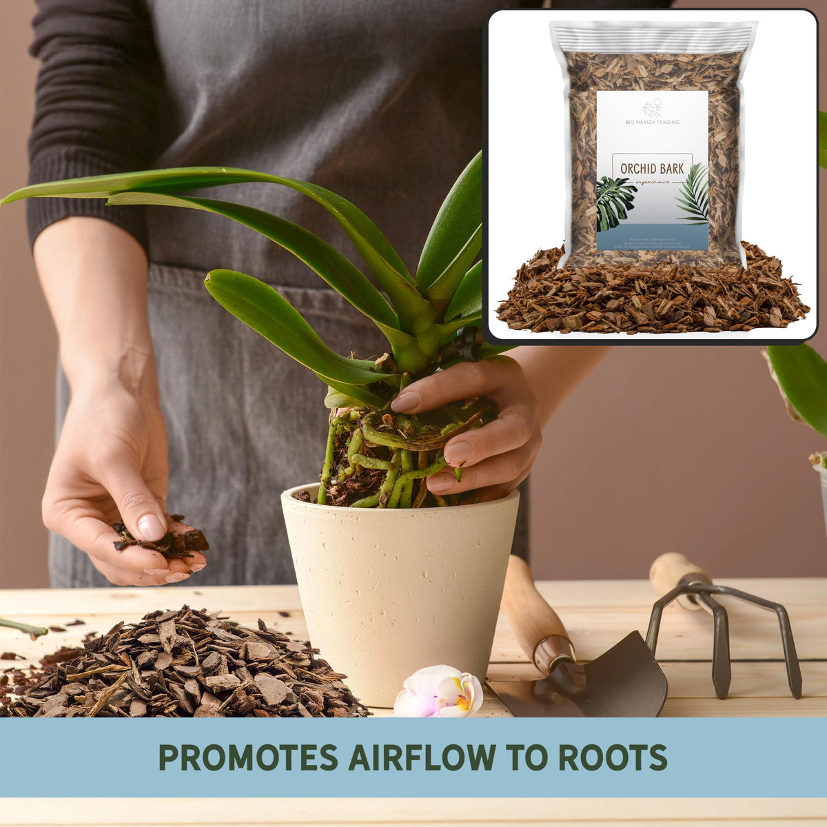 Rio Hamza Trading orchid bark with Vanda orchids supporting robust roots.
