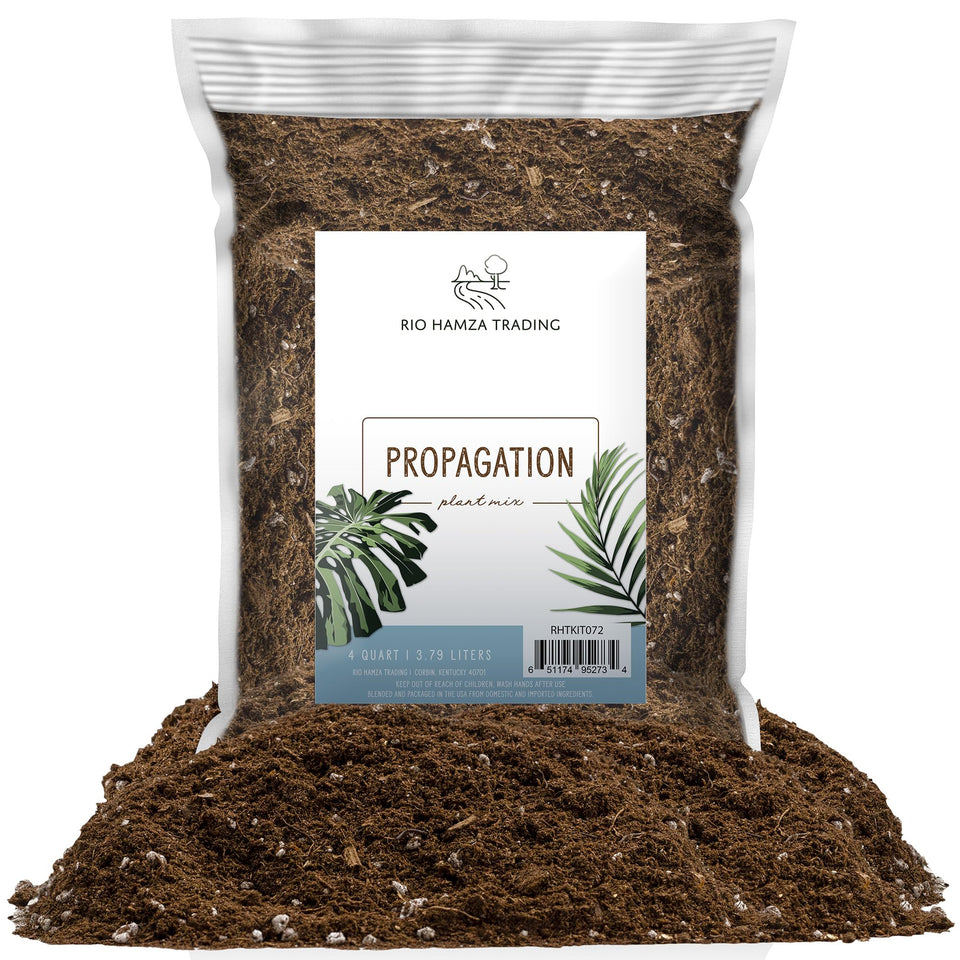 Rio Hamza Trading planting mix 4-quart bag ready for propagation.