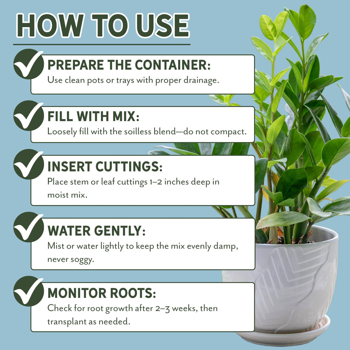 Rio Hamza Trading propagation tray with cuttings using the blend.