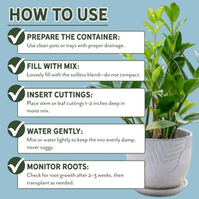 Rio Hamza Trading propagation tray with cuttings using the blend.