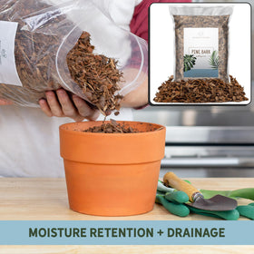 Rio Hamza Trading soil amendment for houseplants.
