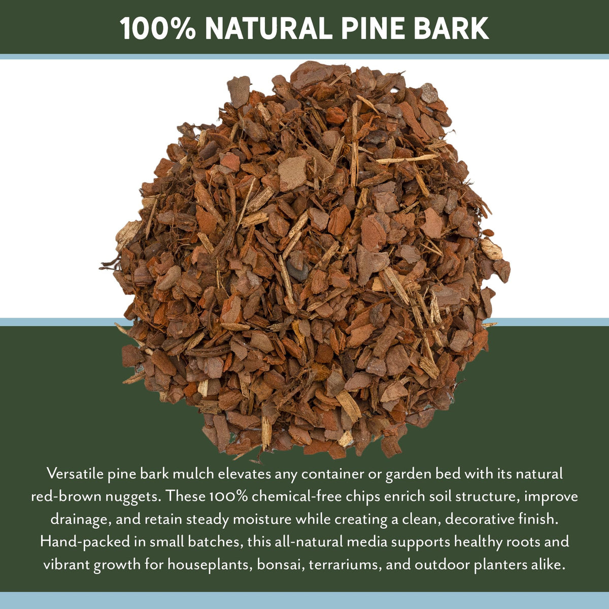Rio Hamza Trading terrarium pine bark mulch for natural ground cover.