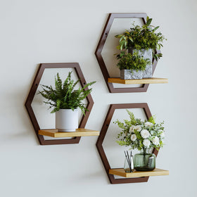 Rioneta 3-pack wall plant stands with arch design provide natural wood warmth.