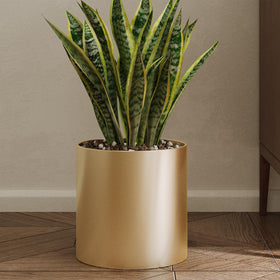 Rioneta gold metal pot, 7-inch round, ideal for indoor plants and decorative tabletop