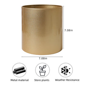 Rioneta gold metal pot is lightweight yet sturdy for easy repositioning