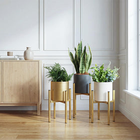 Rioneta gold metal pot adds minimalist elegance to living rooms