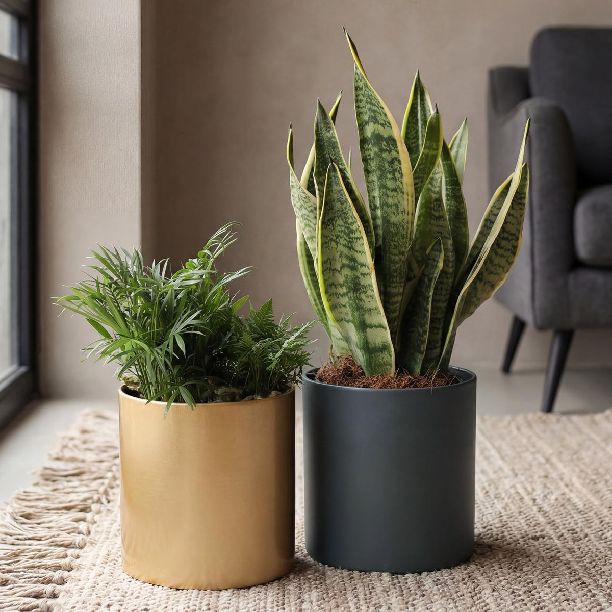 Rioneta gold metal pot serves as a chic tabletop centerpiece