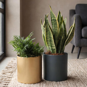 Rioneta gold metal pot serves as a chic tabletop centerpiece