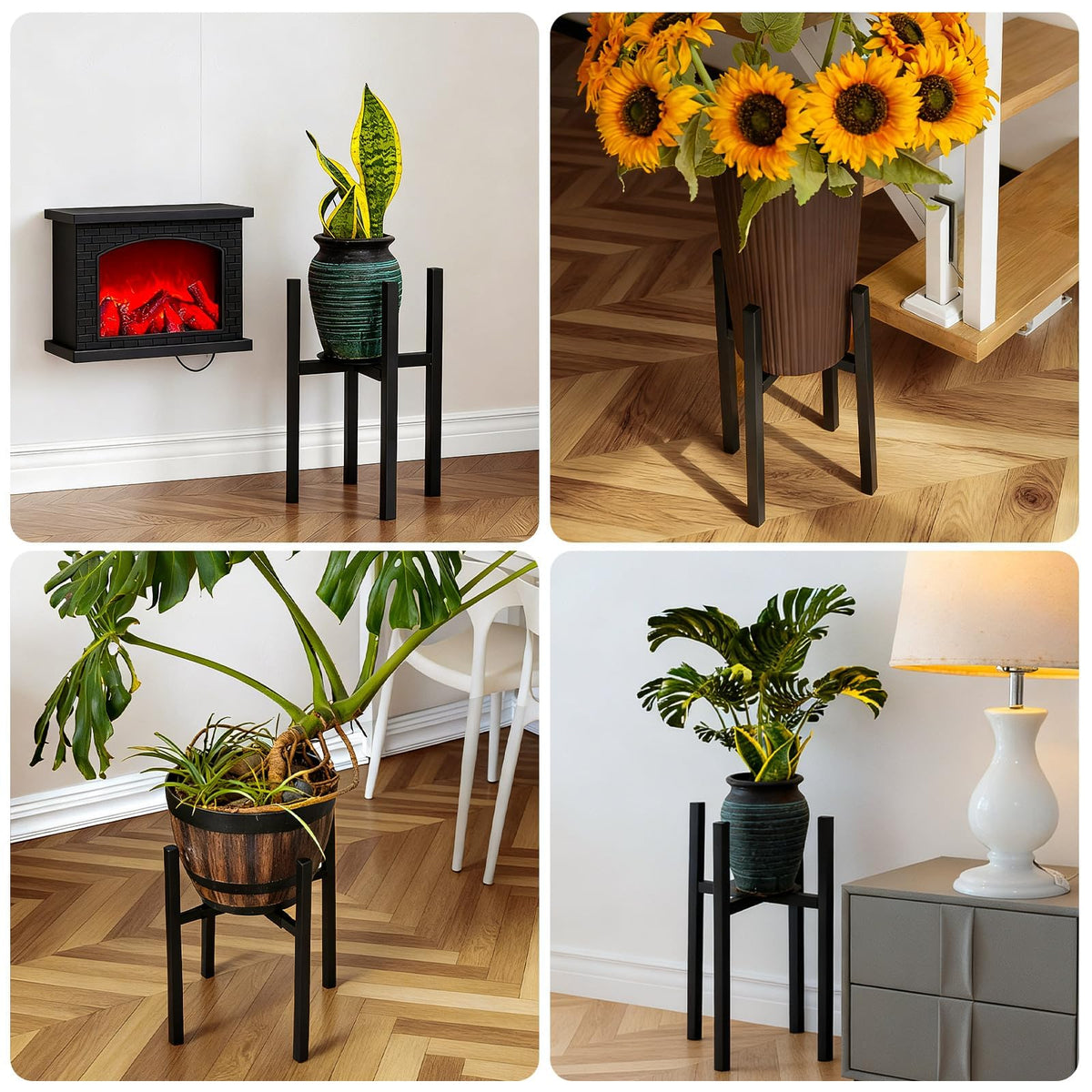 Rioneta versatile display for fiddle leaf figs, snake plants, and cacti.