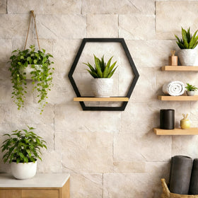 Rioneta indoor plant décor for kitchen, bathroom, or living areas.
