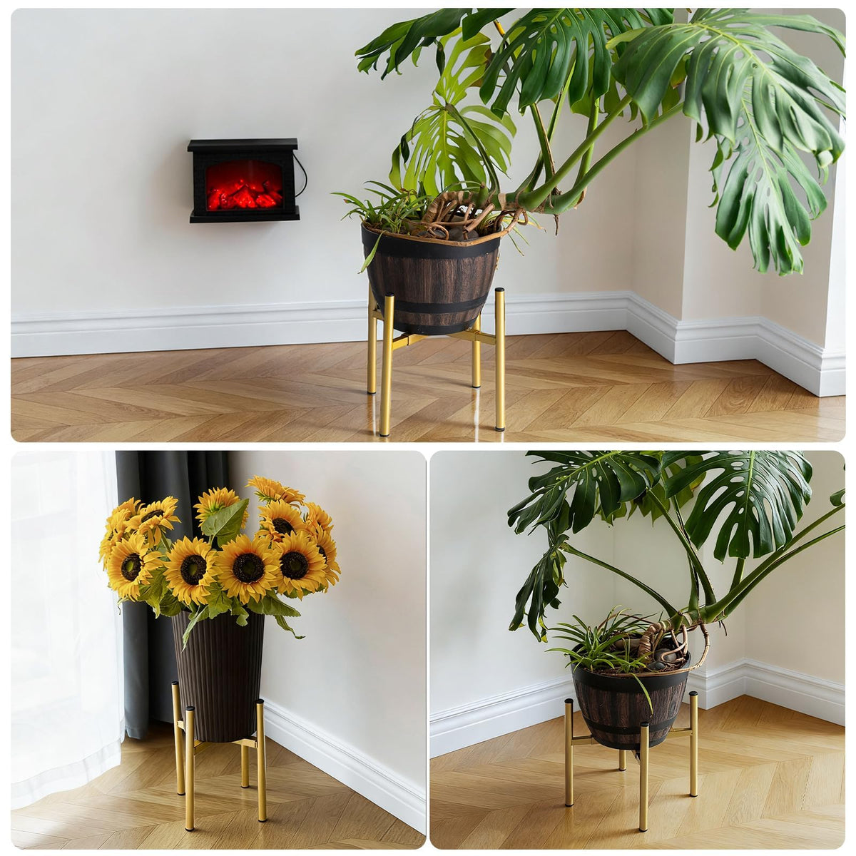 Rioneta rust-resistant coating preserves outdoor plant displays.