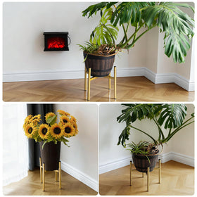 Rioneta rust-resistant coating preserves outdoor plant displays.