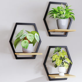 Rioneta solid wood wall stand with arch, adds warm natural texture to your living space.