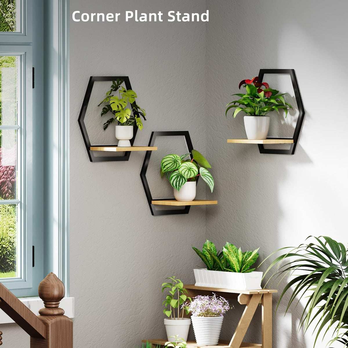 Rioneta space-saving wall storage ideal for plants, succulents, or candles.