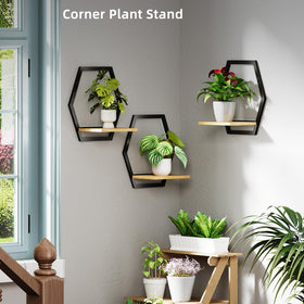 Rioneta space-saving wall storage ideal for plants, succulents, or candles.