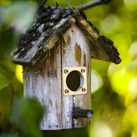 Ripeng copper guard for bluebird nest protection in outdoor boxes