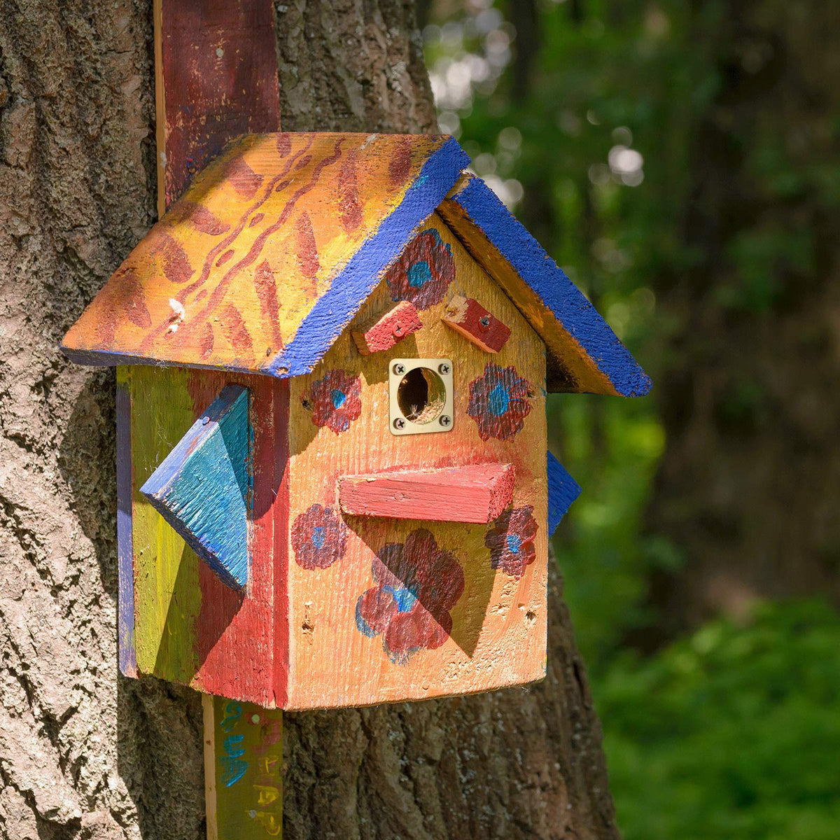 Four-piece guard set with screws for eastern bluebird nesting protection.