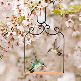 Ripeng hummingbird swing outdoor garden setup on a branch or railing