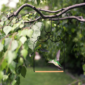 Ripeng hummingbird swing pack with 2 swings and 2 hooks for quick setup