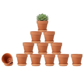 Riseuvo 3-inch terracotta pot with saucer for plants and decor durability