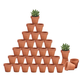 Riseuvo 32pcs mini terracotta pot set, compact planters for small succulents and herbs