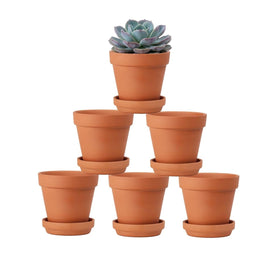 Riseuvo 4 inch terracotta pot with saucer for stable drainage and neat moisture collection.
