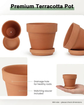Riseuvo terracotta pot with drainage hole supports healthy root airflow for small plants.