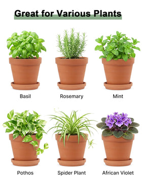 Outdoor patio display with Riseuvo terracotta pots.